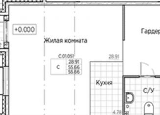 Продажа квартиры свободная планировка, 55.6 м2, Санкт-Петербург, метро Спортивная