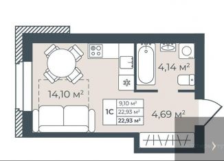 Квартира на продажу студия, 22.9 м2, Павловск