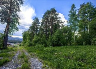 Продается участок, 10 сот., Республика Алтай, улица имени Максима Петунина