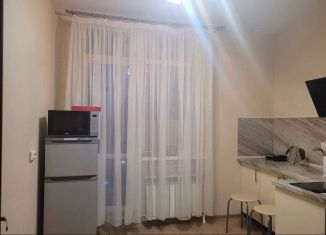 Сдается 1-комнатная квартира, 39 м2, Белгород, проспект Богдана Хмельницкого, 125