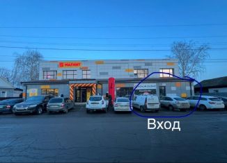 Сдам в аренду помещение свободного назначения, 50 м2, Мичуринск, Гоголевская улица, 157