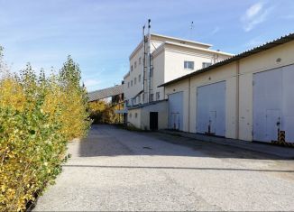 Сдам в аренду производство, 1263 м2, Пензенская область, улица Строителей, 1к4