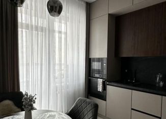 Сдача в аренду однокомнатной квартиры, 45 м2, Республика Башкортостан, улица Гоголя, 29