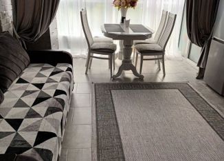 Аренда квартиры студии, 28 м2, село Небуг, улица Газовиков, 3А/3