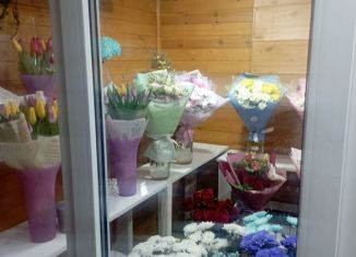 Сдается в аренду помещение свободного назначения, 21 м2, Ульяновская область, улица Карла Маркса, 20