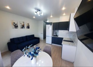 Сдам в аренду квартиру студию, 24 м2, Северодвинск, Беломорский проспект, 3Ак2
