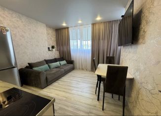 Продажа 2-ком. квартиры, 45.1 м2, Краснодар, улица Западный Обход, 45к5, ЖК Грани