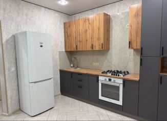 Сдам в аренду 1-комнатную квартиру, 43 м2, село Айша, жилой комплекс Зелёная Долина, 3