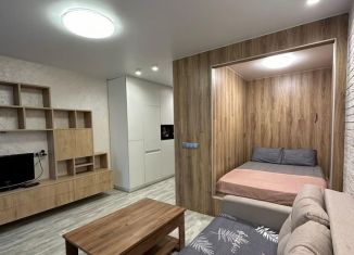 Сдам в аренду квартиру студию, 32 м2, Удмуртия, улица Карла Маркса, 308к1