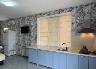 Сдача в аренду квартиры студии, 28 м2, поселок городского типа Заозерное, Камышовая улица, 37