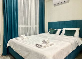 Сдается квартира студия, 35 м2, Сочи, Санаторная улица, 49/19А, микрорайон Новый Сочи