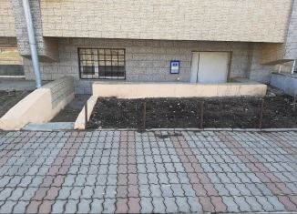 Продаю помещение свободного назначения, 380 м2, Биробиджан, улица Дзержинского, 13