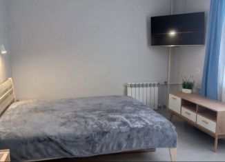 Сдается в аренду 1-ком. квартира, 32 м2, Петрозаводск, улица Максима Горького, 3