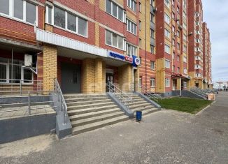 Сдам в аренду помещение свободного назначения, 126.3 м2, Йошкар-Ола, улица Эшкинина, 25, микрорайон Центральный