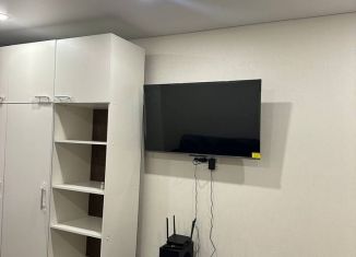 Сдается в аренду 1-комнатная квартира, 33.8 м2, Белгород, улица Дегтярёва, 2