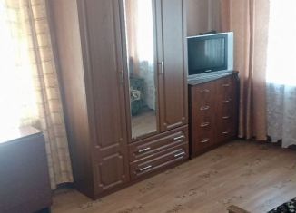 Сдам 1-ком. квартиру, 31.1 м2, Брянск, Новозыбковская улица, 3Б