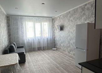 Сдаю в аренду 1-комнатную квартиру, 39 м2, Оренбург, улица Эссена, 12, ЖК Дубки