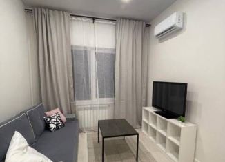 Сдаю в аренду однокомнатную квартиру, 25 м2, село Раздольное, Земляничная улица, 2