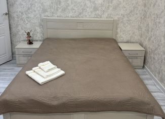 Сдам в аренду однокомнатную квартиру, 33.7 м2, Тамбовская область, Дорожный переулок, 22В