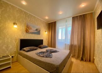 Сдается в аренду однокомнатная квартира, 45 м2, Орловская область, набережная Дубровинского, 76