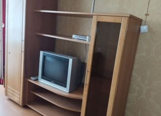 Сдаю 1-ком. квартиру, 32 м2, Новосибирск, улица Петухова, 138, метро Площадь Маркса