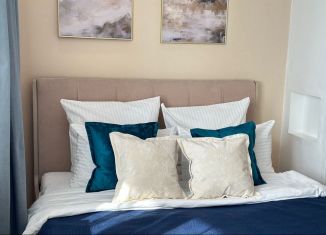 Сдам в аренду квартиру студию, 35 м2, Бурятия, улица Смолина, 63