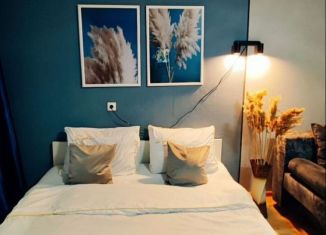 Сдам в аренду 1-ком. квартиру, 47 м2, Республика Башкортостан, проспект Октября, 77