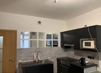 Продаю квартиру студию, 24 м2, Кудрово, Центральная улица, 50