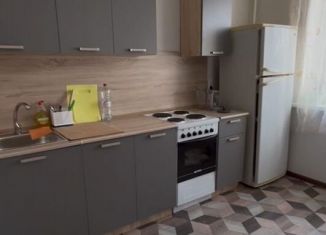 Сдаю в аренду 1-ком. квартиру, 32 м2, Челябинск, Двинская улица, 11