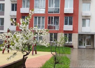 Квартира на продажу студия, 16 м2, деревня Крёкшино, улица Медовая Долина, 1к2