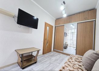 Сдача в аренду 1-комнатной квартиры, 28 м2, Сочи, улица Метелёва, 6/5, микрорайон Яна Фабрициуса