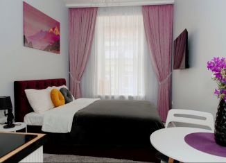 Квартира на продажу студия, 17 м2, Санкт-Петербург, Большой Казачий переулок, 10