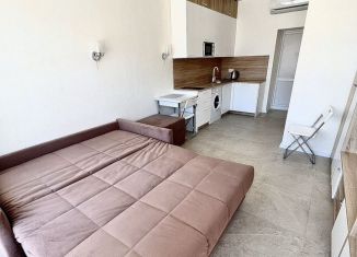 Сдам в аренду квартиру студию, 19 м2, поселок городского типа Заозерное, улица Аллея Дружбы, 14к23