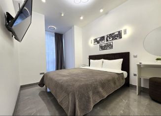 Сдается в аренду двухкомнатная квартира, 47 м2, Сочи, переулок Трунова, 6к5, микрорайон Завокзальный