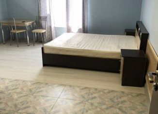Сдаю в аренду квартиру студию, 20 м2, Сочи, Пластунская улица, 202