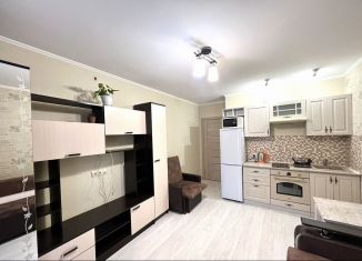 Квартира в аренду студия, 23 м2, Санкт-Петербург, бульвар Александра Грина, 2к1, Василеостровский район