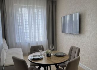 Сдаю в аренду 1-ком. квартиру, 35 м2, Краснодар, Воронежская улица, 47/14, микрорайон Черемушки