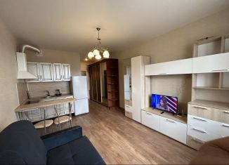 Сдам в аренду квартиру студию, 35 м2, Тверь, улица Склизкова