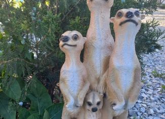 Сдам дом, 48 м2, поселок Кучугуры, Уютная улица, 4