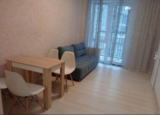 Сдача в аренду квартиры студии, 24 м2, Тюмень, Интернациональная улица, 199к7, ЖК Авиатор