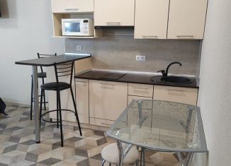 Сдается в аренду квартира студия, 25 м2, Ростов-на-Дону, бульвар Комарова, 30/2с3, ЖК Аврора