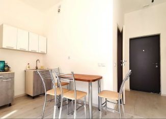 Продаю квартиру студию, 24 м2, Мурино, Ручьёвский проспект, 15