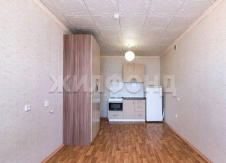 Квартира на продажу студия, 23.5 м2, Новосибирск, метро Студенческая, Ударная улица, 25/1