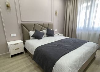 Сдается 2-ком. квартира, 45 м2, Республика Башкортостан, улица Аксакова, 79