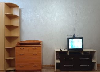 Сдаю в аренду квартиру студию, 25 м2, Новосибирск, Дивногорская улица, 150/1, Ленинский район