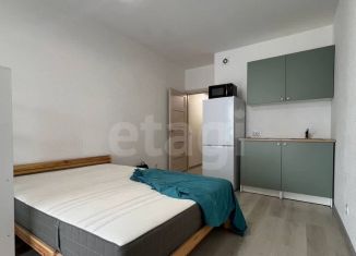 Сдам в аренду квартиру студию, 24.5 м2, Санкт-Петербург, улица Генерала Кравченко, 8, Красносельский район