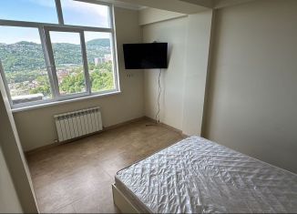 Сдается 3-ком. квартира, 45 м2, Сочи, Вишнёвая улица, 18/2, микрорайон Заречный