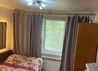 Сдача в аренду квартиры студии, 16 м2, Санкт-Петербург, улица Руднева, 3к2, метро Проспект Просвещения
