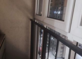 Продается квартира студия, 18 м2, Нижний Новгород, Бурнаковская улица, 93, метро Буревестник