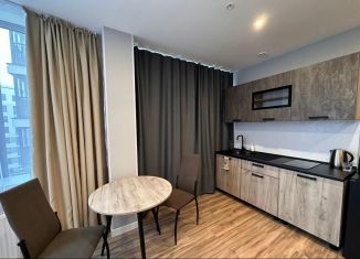 Сдается в аренду квартира студия, 30 м2, Санкт-Петербург, проспект Энергетиков, 2к2, Красногвардейский район